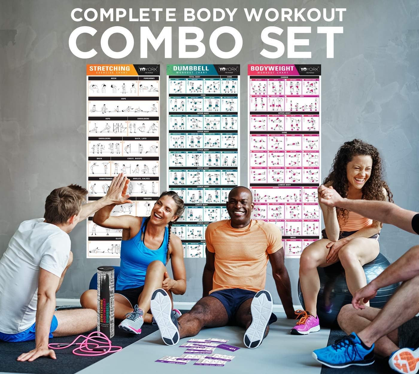 Laminated Full Body Workout Posters: Stretching, Dumbbell, and Bodyweight Exercises.